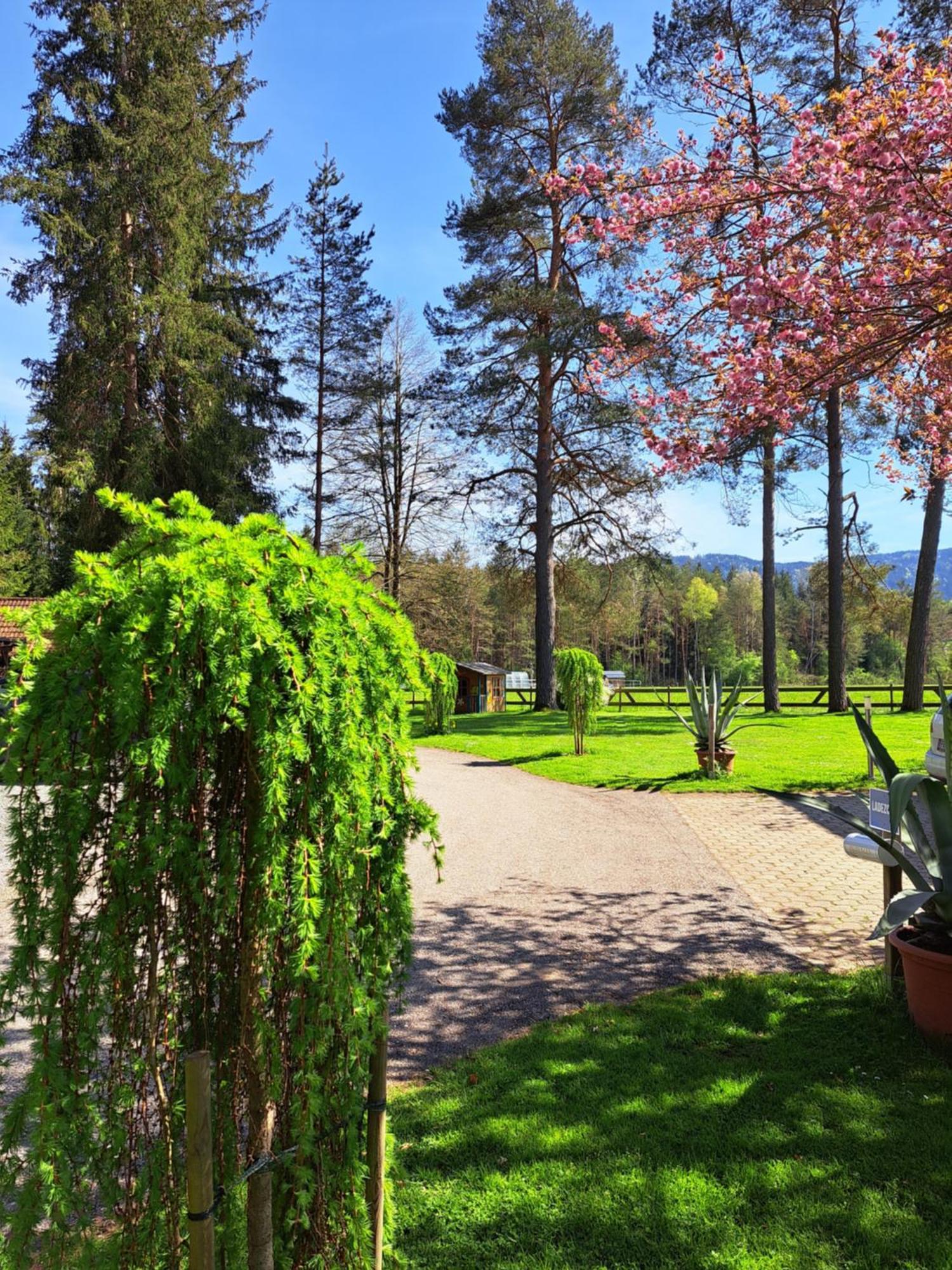 Pension Fischinger Feldkirchen in Kärnten Εξωτερικό φωτογραφία